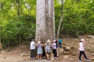 Actividad - Bosque Petrificado de Puyango