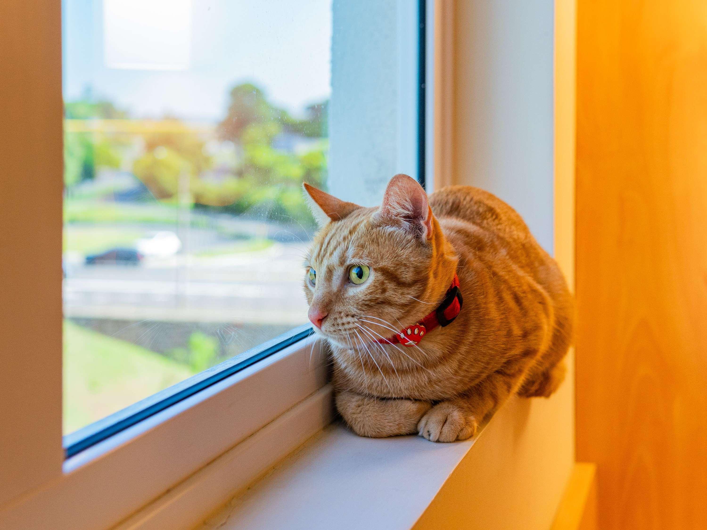 Vista Exterior Ibis Novo Hamburgo