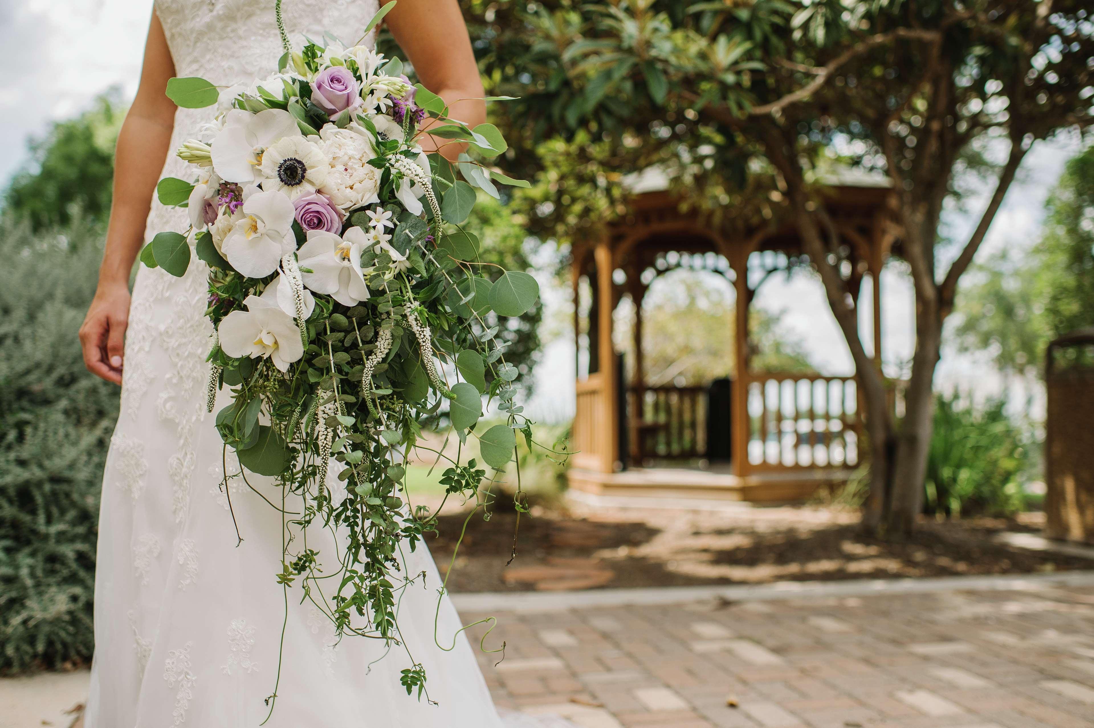Vista Exterior Hilton Garden Inn Temple Medical Center