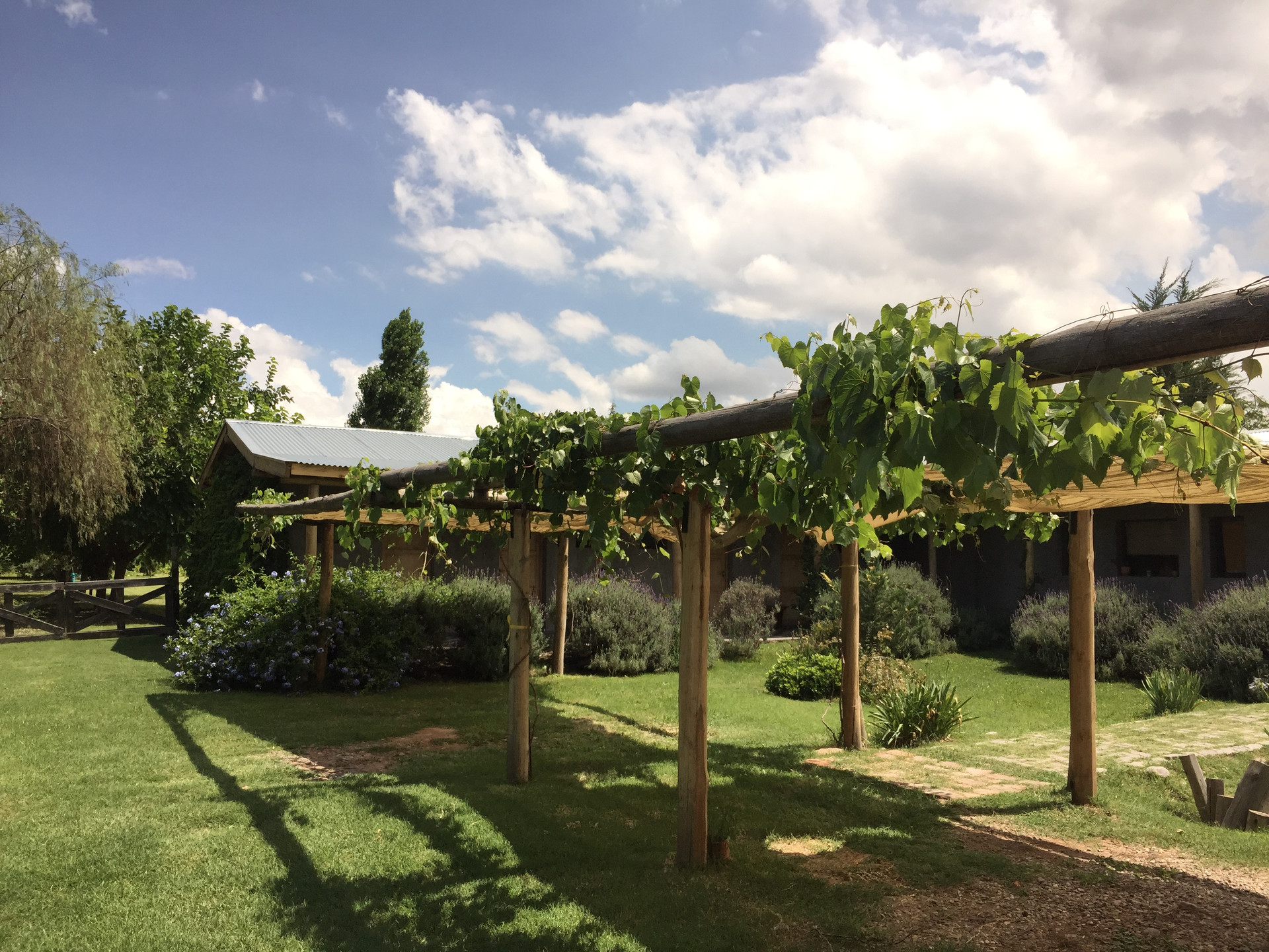 Varios Tikaykilla Lodge and Wines