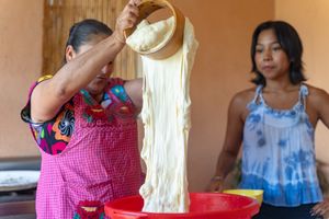 Actividad - Tour Quesillo y Papel