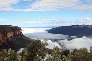 Actividad - Parque Nacional Blue Mountains y Featherdale Wildlife Park – Excursión de día completo