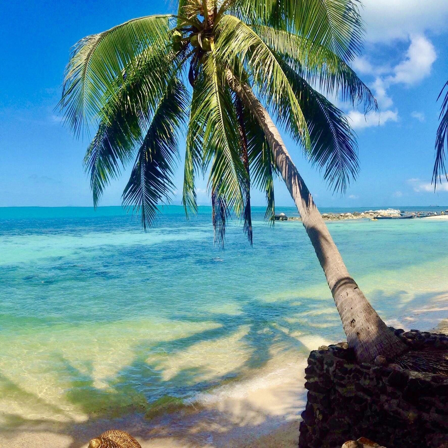 Playa Sibaja Palms Sunset Beach Apartment