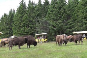 Alquiler Vacacional - Cottage 3 ears in the countryside 10 minutes A75 / 8 people.