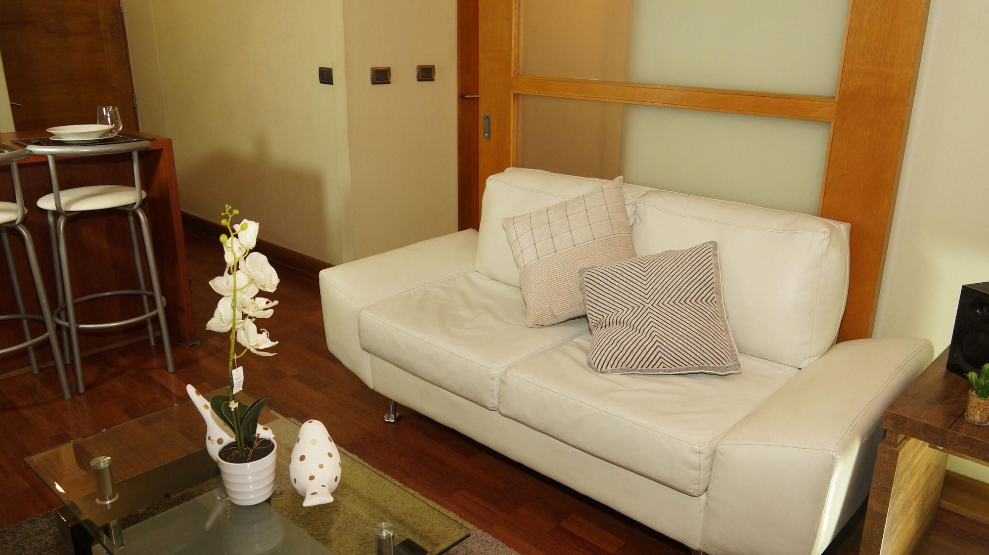 Equipamiento de Habitación Apart Providencia Barros Borgoño