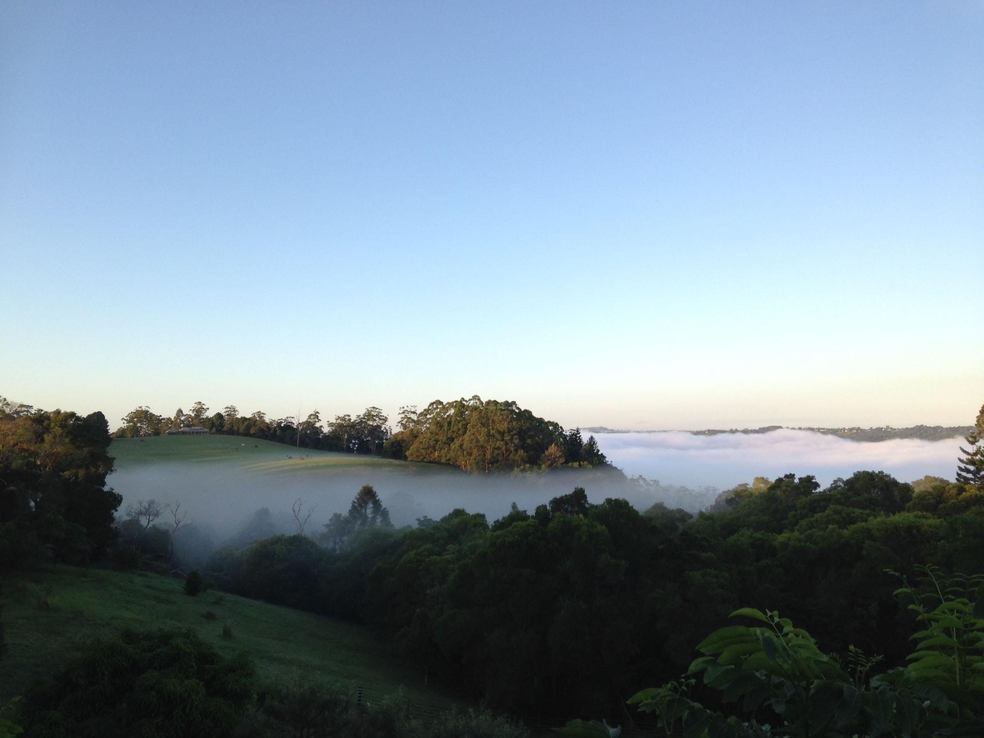 Varios The Spotted Chook