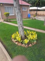 Alojamiento - Hazelonz Guest House