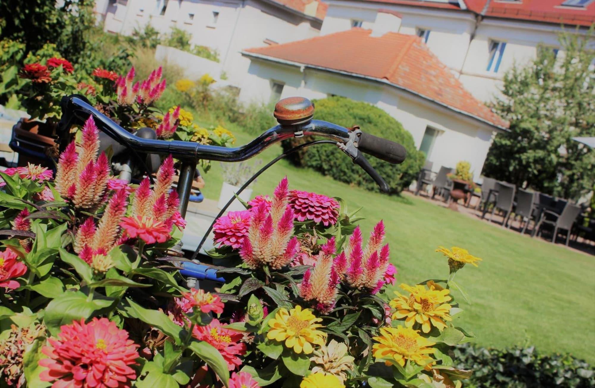 Comodidades del Alojamiento Hotel Germersheimer Hof