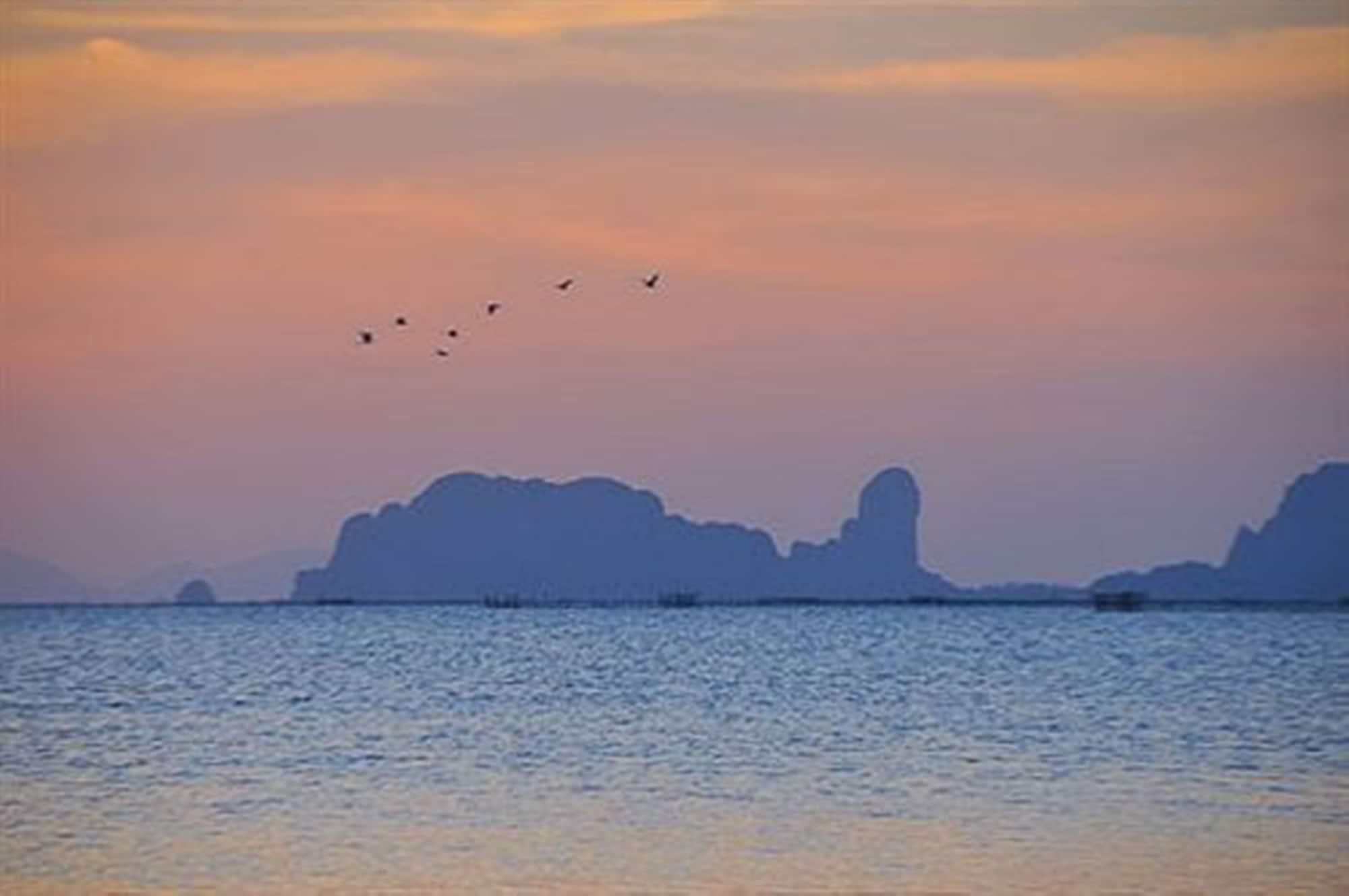 Playa Islanda Hideaway Resort