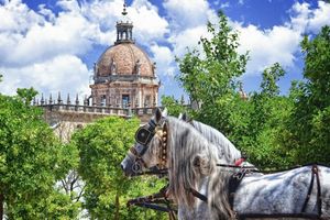 Actividad - Visita guiada - Centro histórico de Jerez y Alcázar