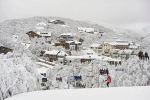 Actividad - Excursión de nieve a Mount Buller - Tour de día completo
