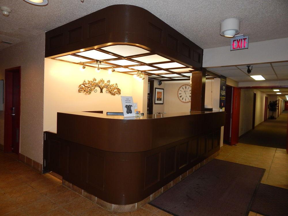Vista Lobby Igloo Inn