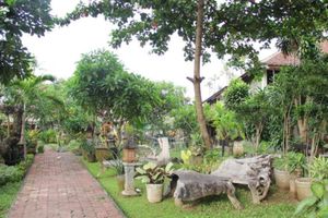 Alojamiento - Gazebo Beach Hotel