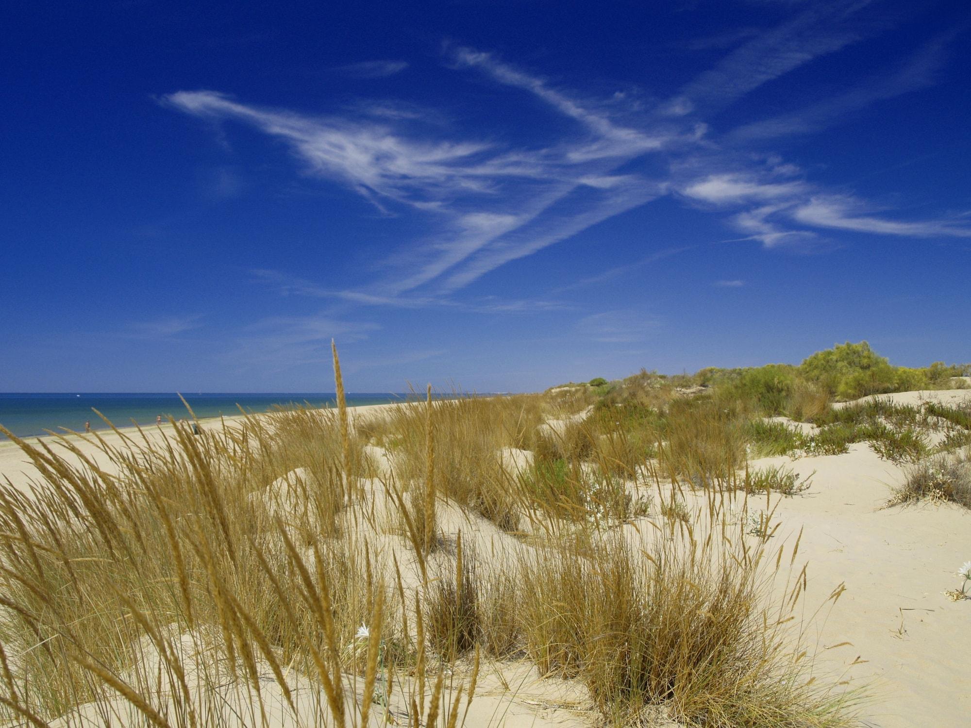 Playa Hotel Ayamontino