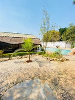 Hospedagens - Royal Olympia Lodge and Safaris