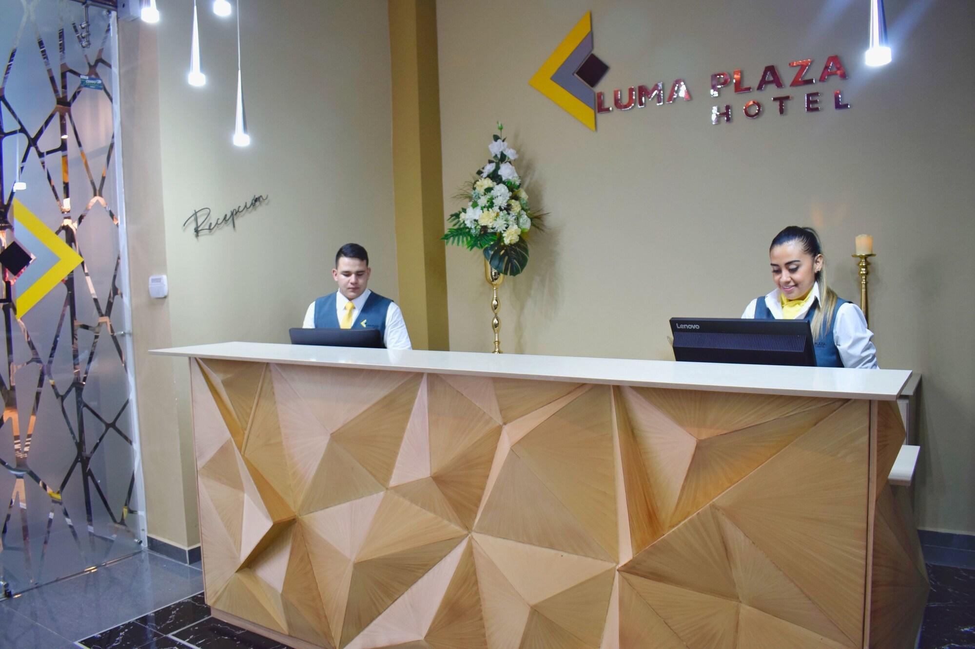 Vista Lobby Luma Plaza Hotel