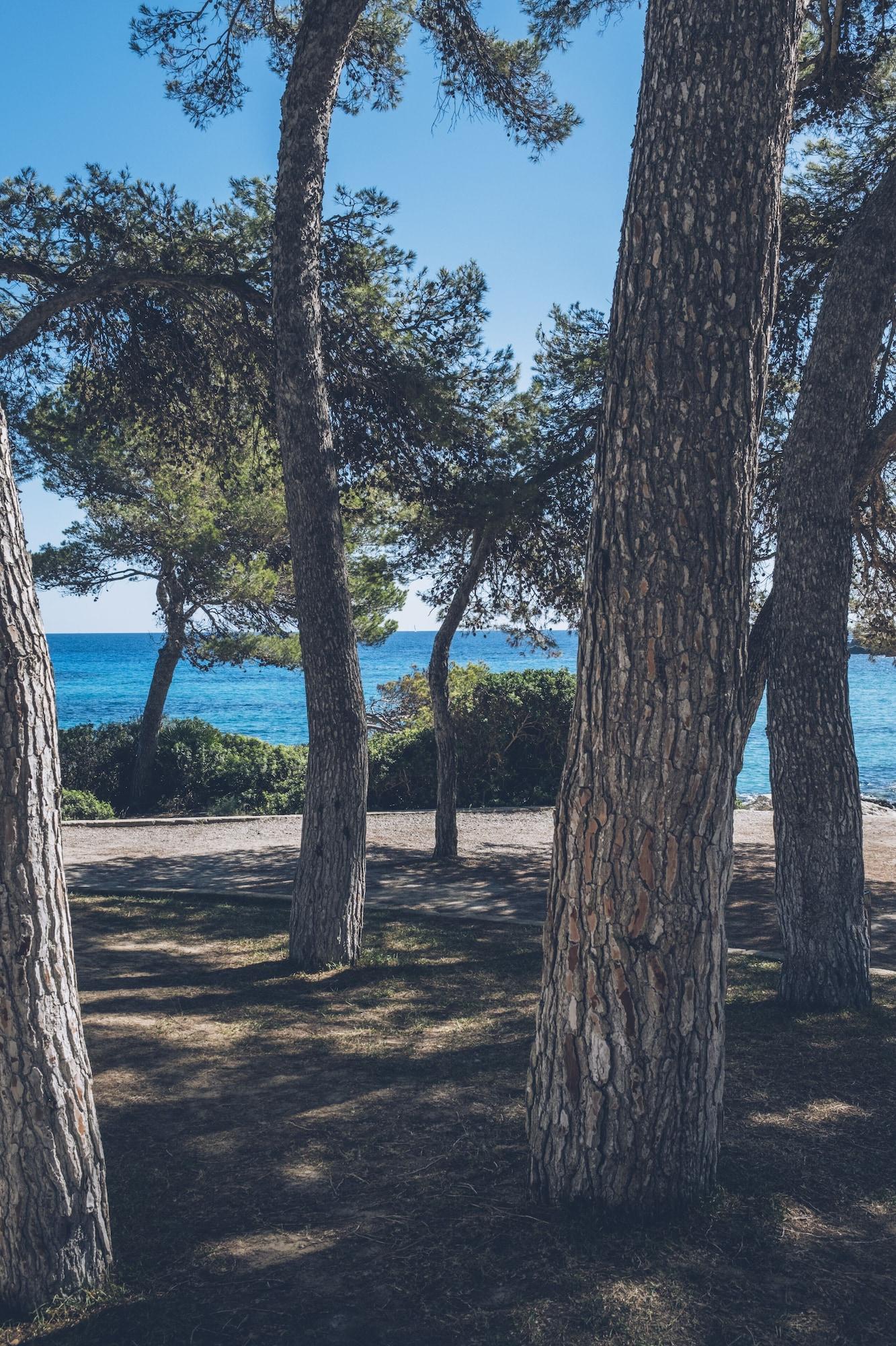 Playa Iberostar Waves Pinos Park