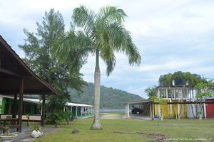 Alojamiento - Iate Clube Rio Verde