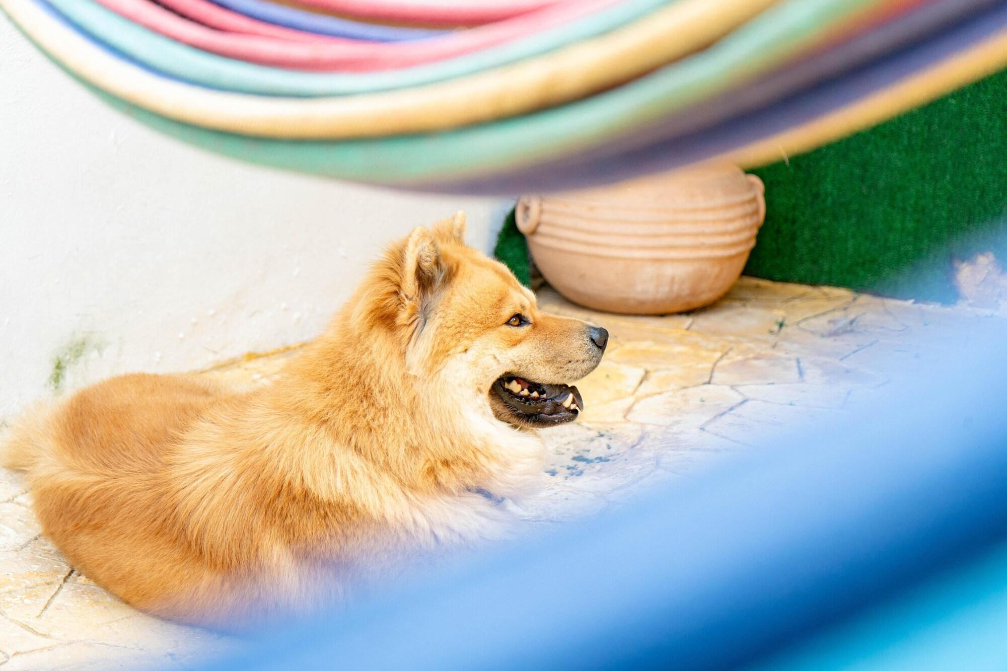 Vista Lobby Buenosdias Izamal