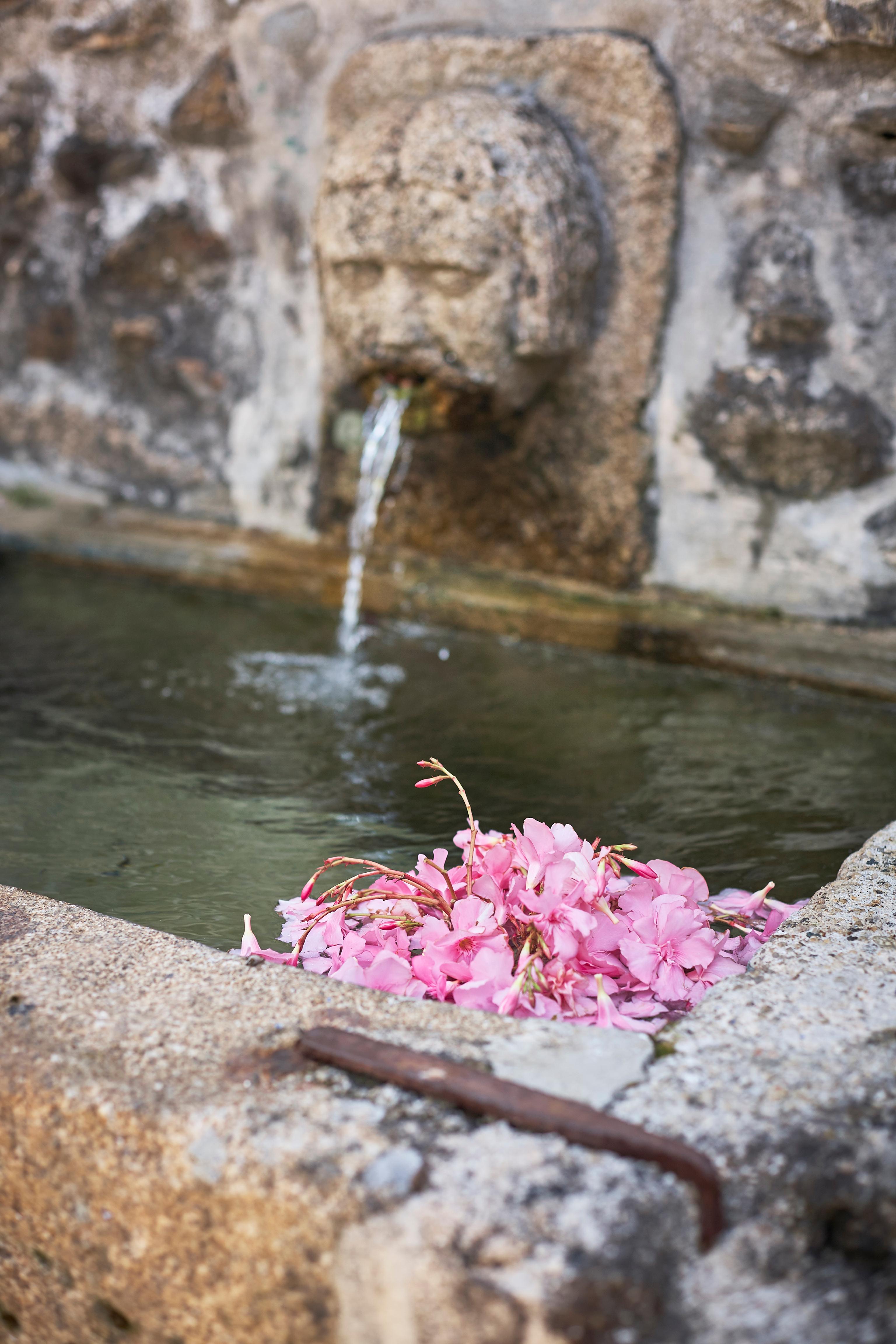 Vista Exterior Casa De Canedo