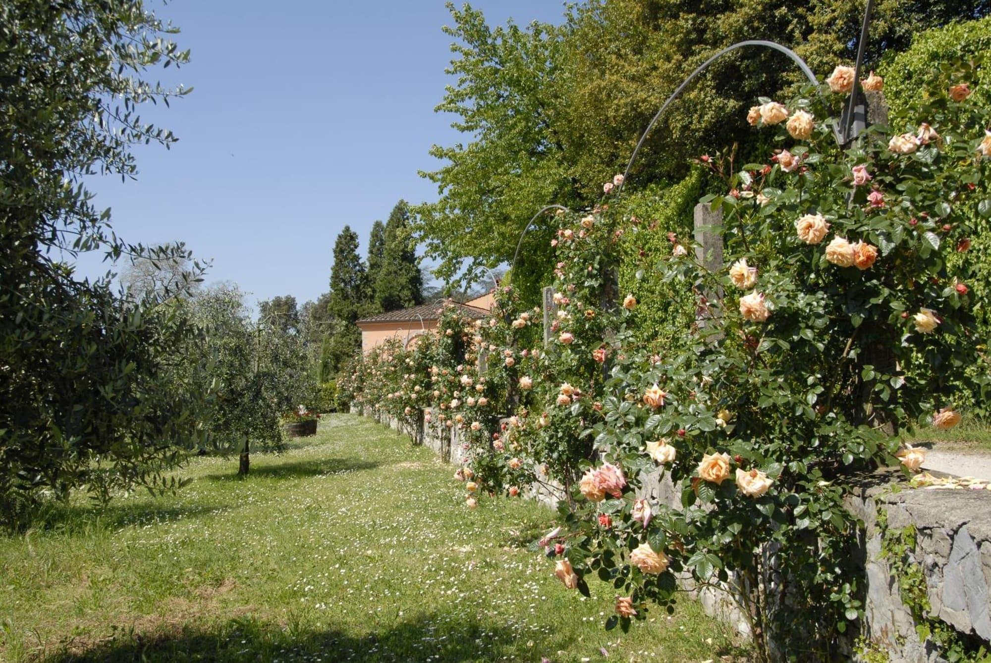 Comodidades del Alojamiento Agriturismo La Chiusa di Nanni