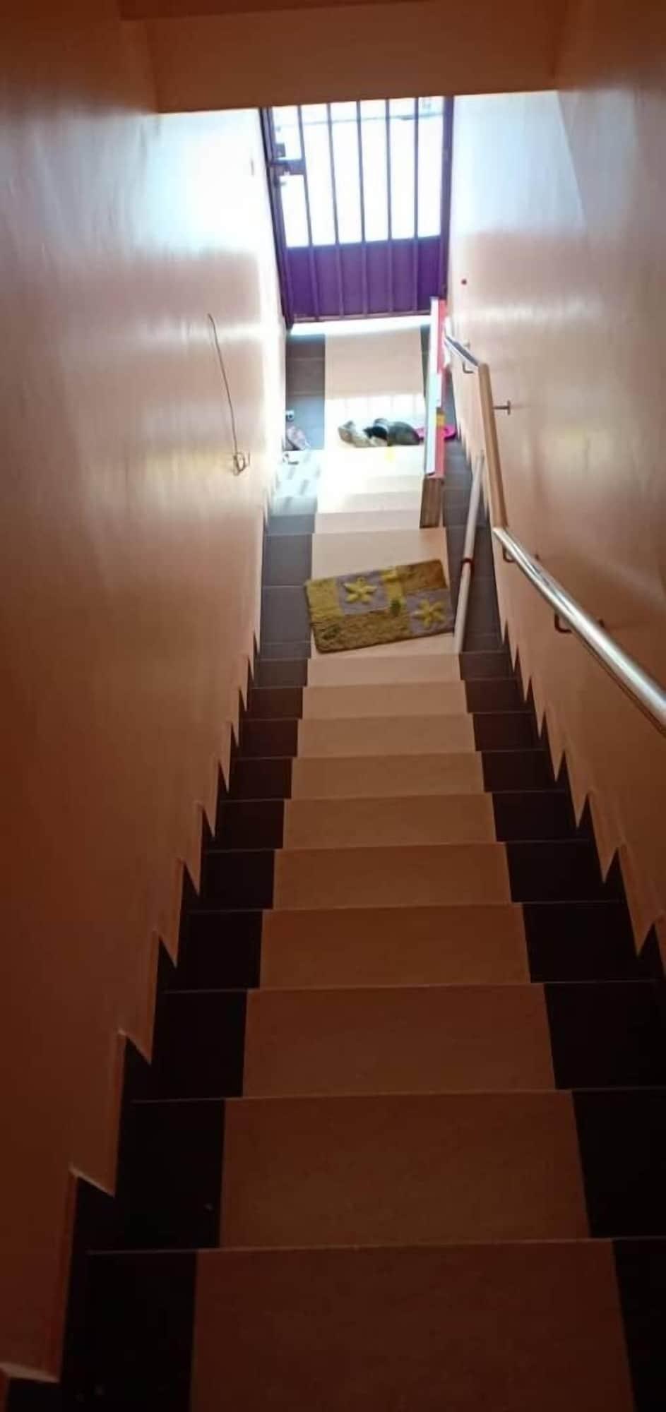 Varios Purple Dream Homestay