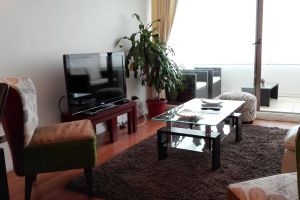 Alquiler Vacacional - Departamento 191