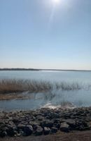 Alquiler Vacacional - Maison Champenoise à 5 Minutes du lac du Der