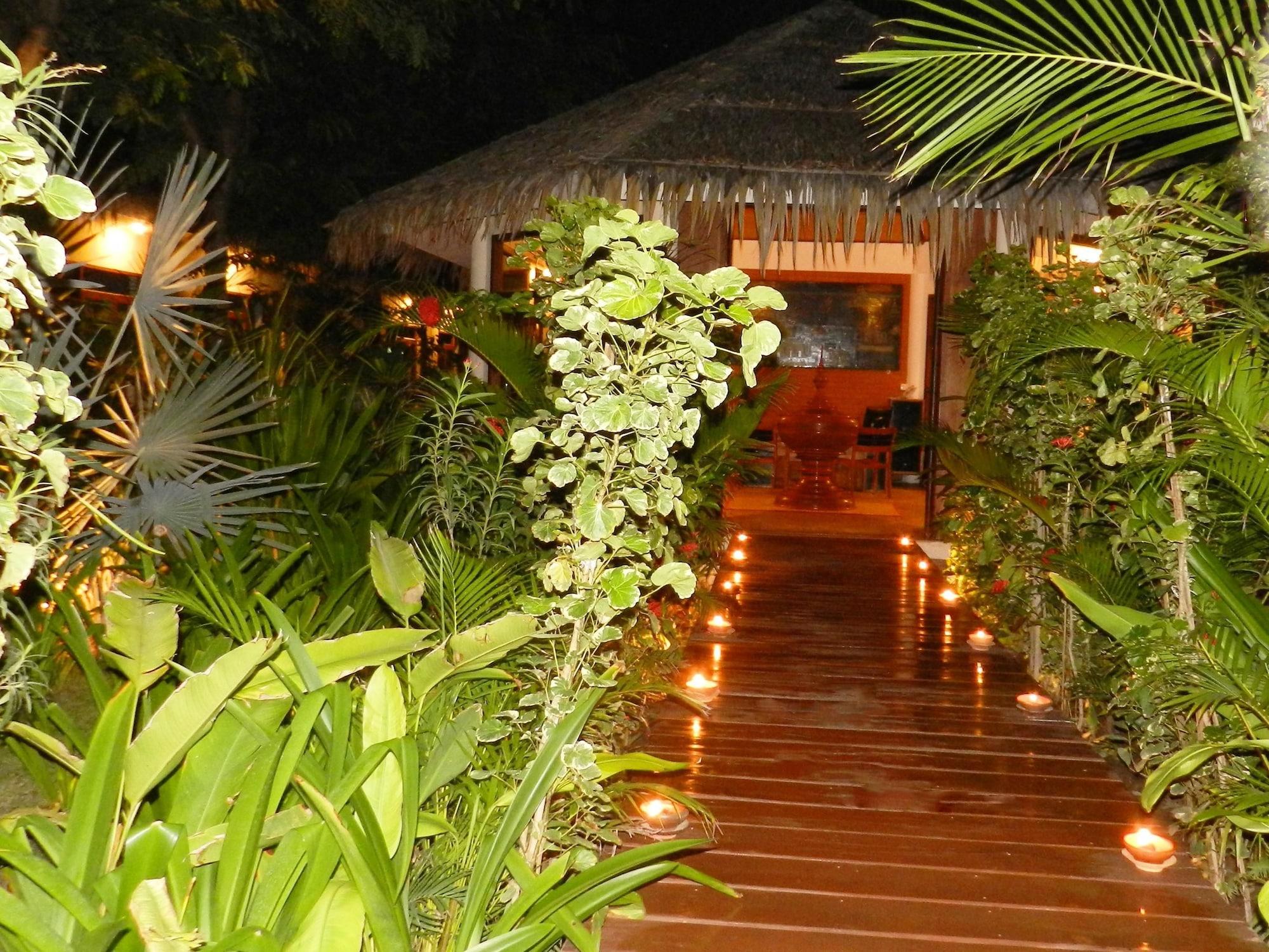 Vista Exterior Blue Bird