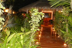 Alojamiento - Blue Bird