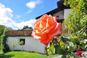 Alojamiento - Pension Feldgärtenhof