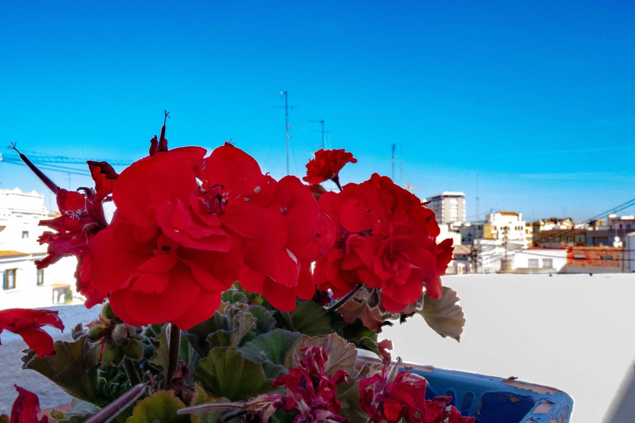 Varios B&B Hi Valencia Cánovas