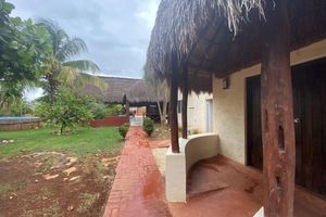 Alojamiento - Mangrove King Fishing Lodge