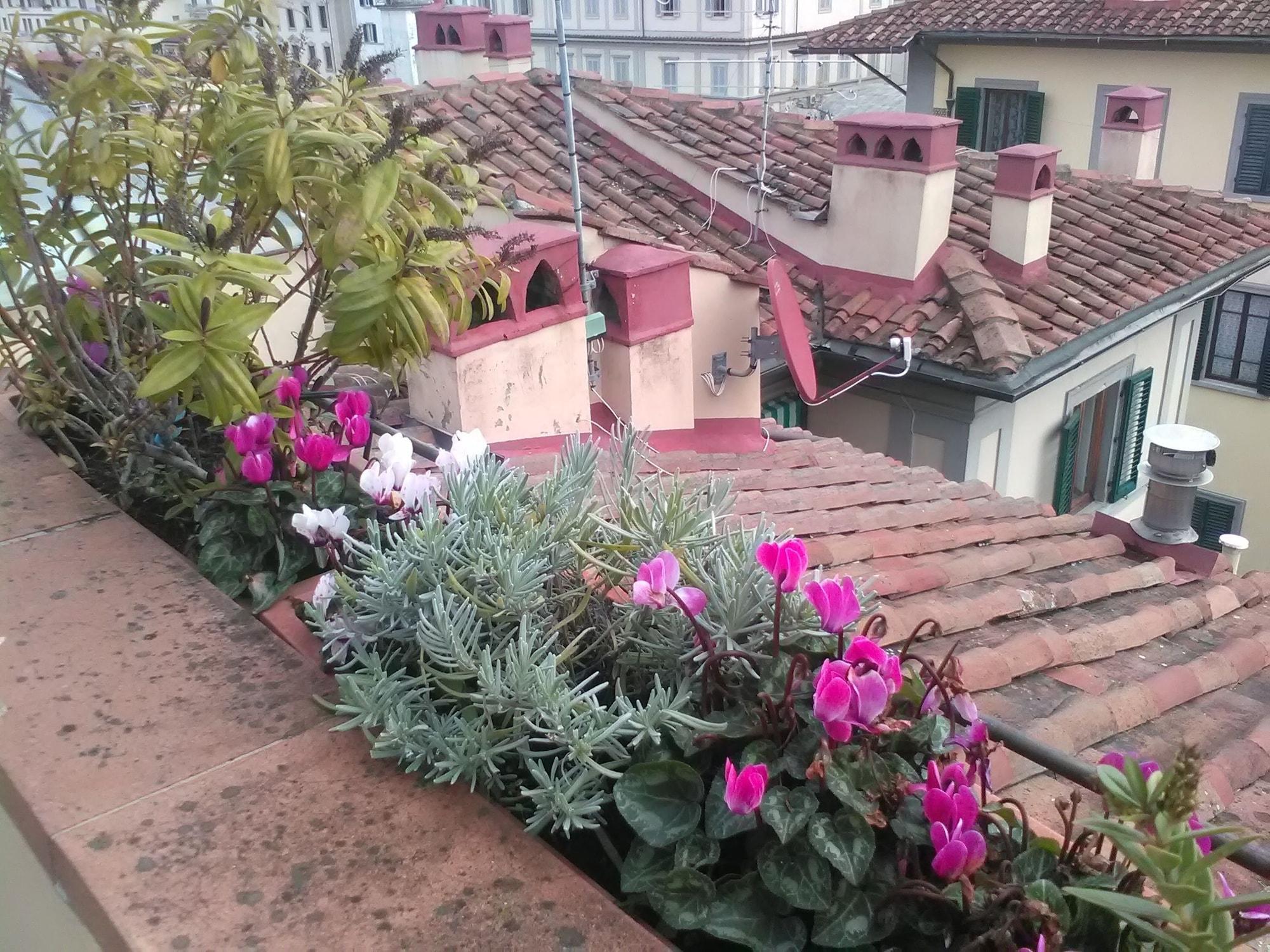 Vista Exterior Antica Dimora Johlea - Antiche Dimore Fiorentine