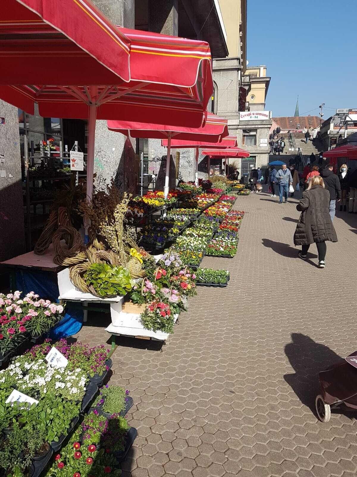 Vista Exterior Bed and Breakfast Sky