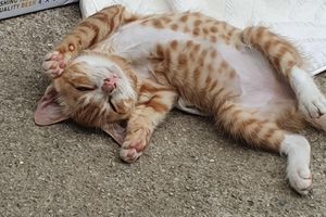 Alojamiento - Haedoji Hotel Yangyang