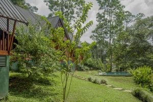 Alojamiento - Sinharaja Forest Gate