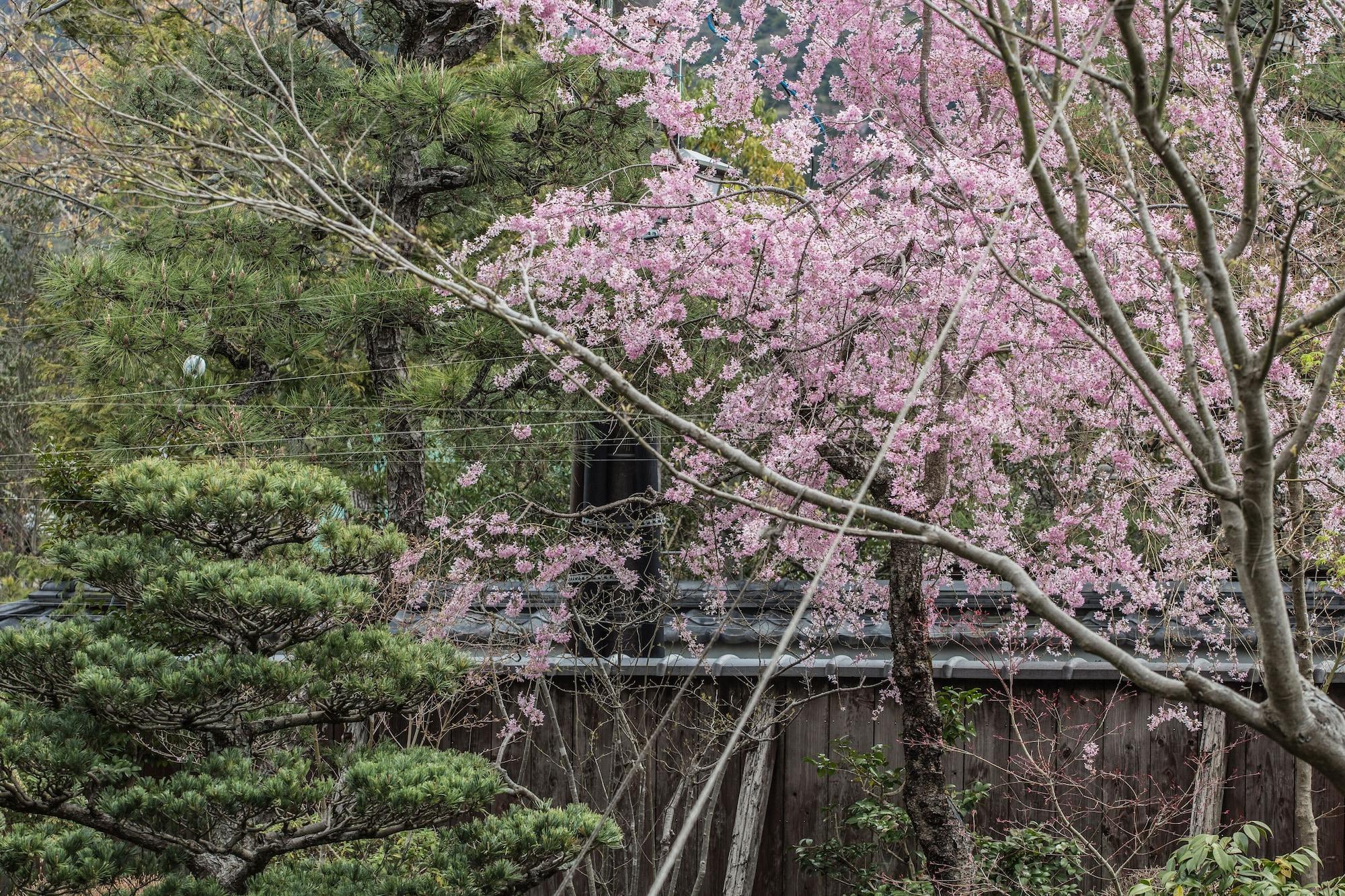 Restaurant Kyoto Nanzenji Garden Ryokan Yachiyo Established in 1915