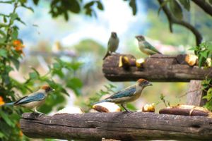 Alojamiento - Hosteria Cananvalle