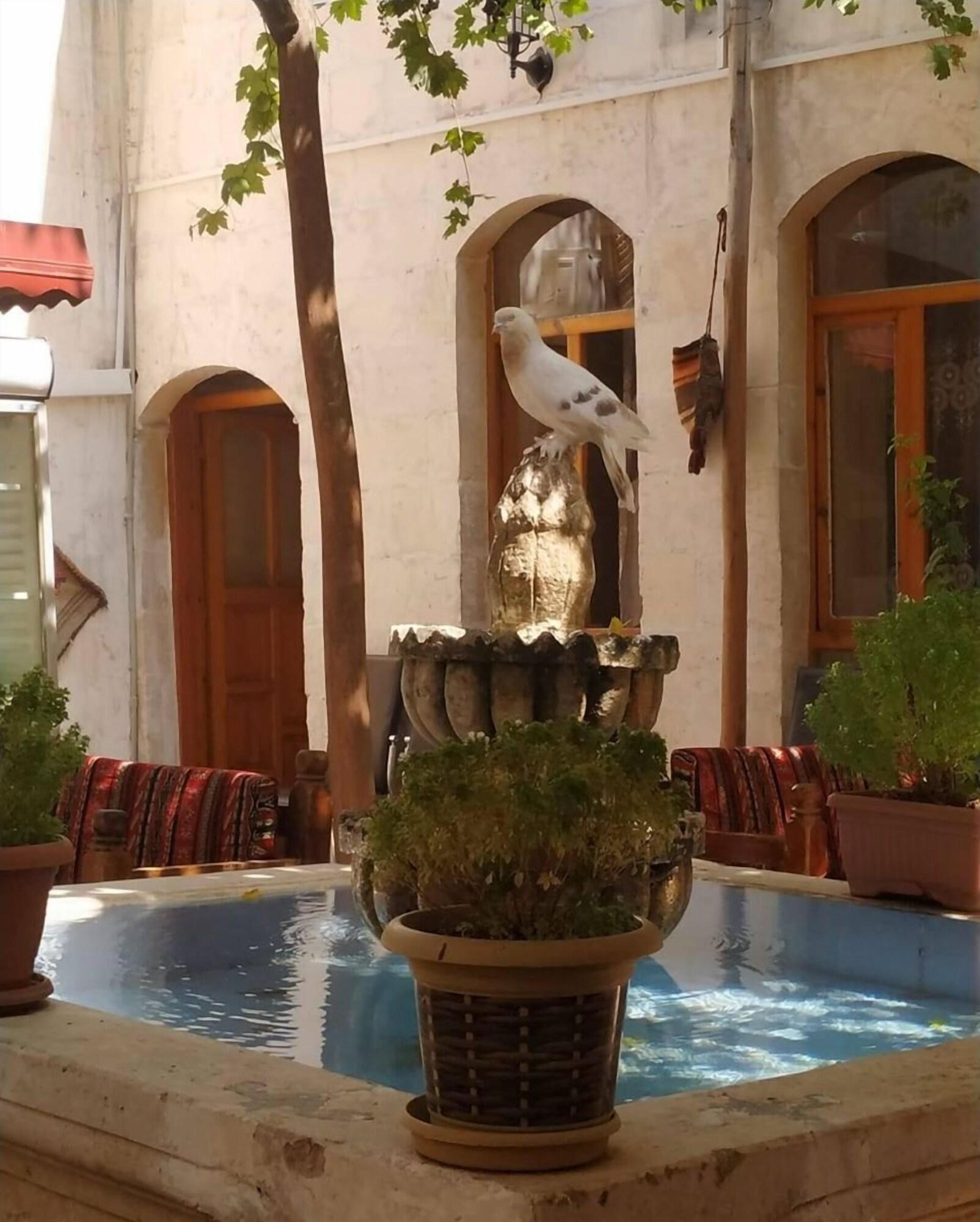 Bar/Salón Sark Ciragan Konak