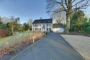 Alojamiento - B&B Hof Ter Beuke