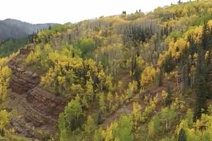 Alquiler Vacacional - Rico     2