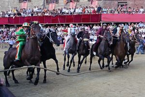 Actividad - Tour a pie por Siena: Palio y Museo de la Contrada