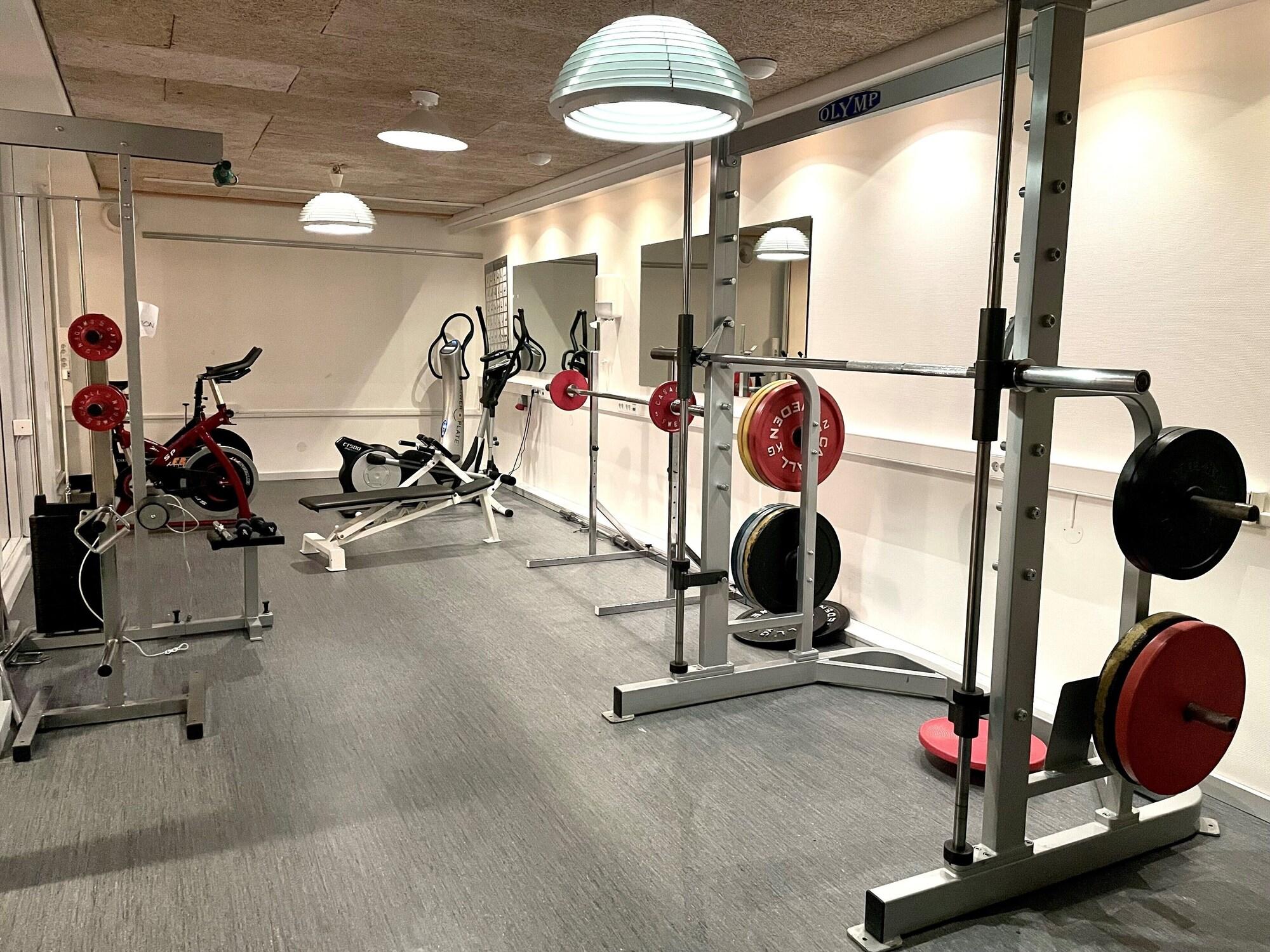 Gimnasio Gyllene Hornet