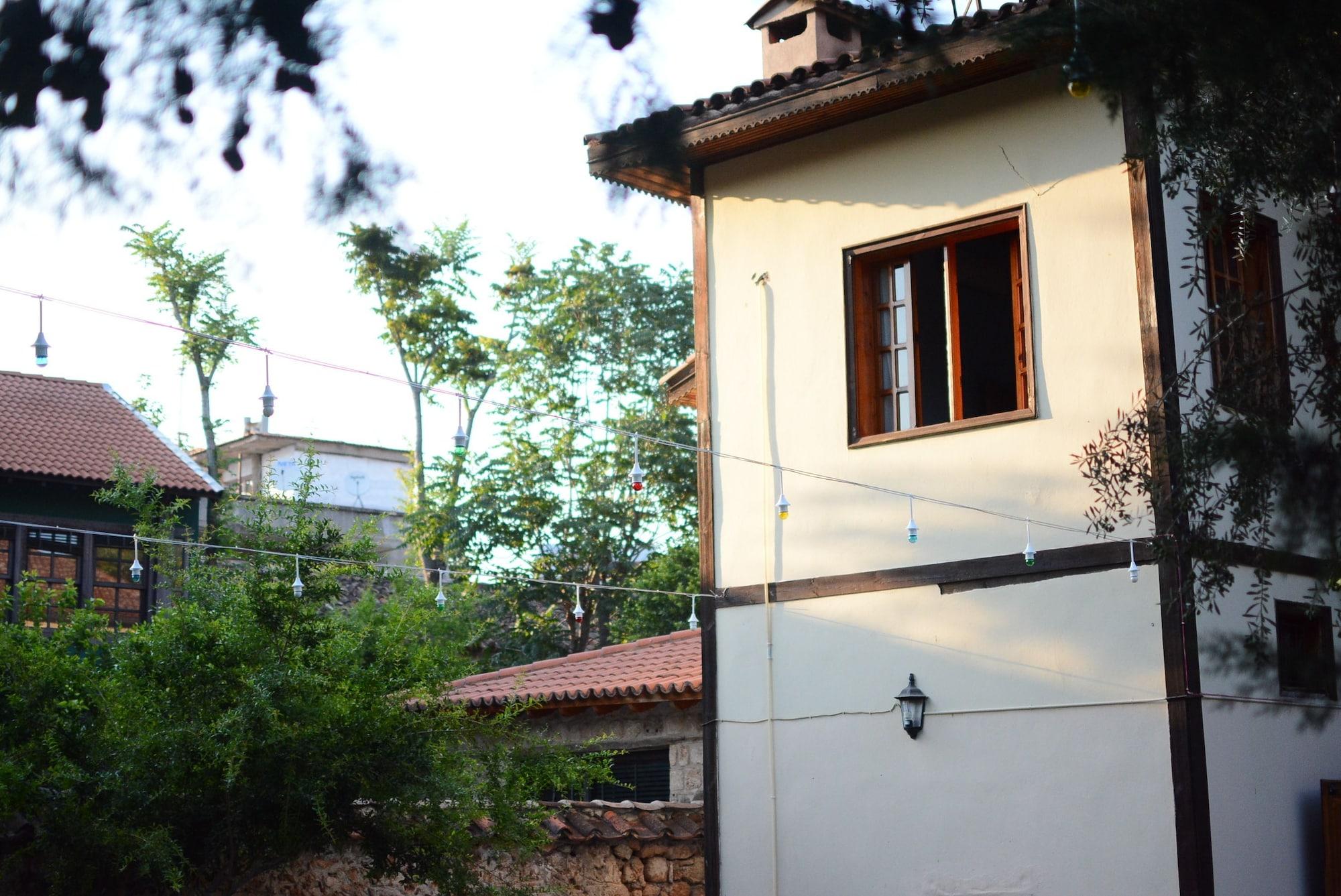 Vista Exterior Wood House