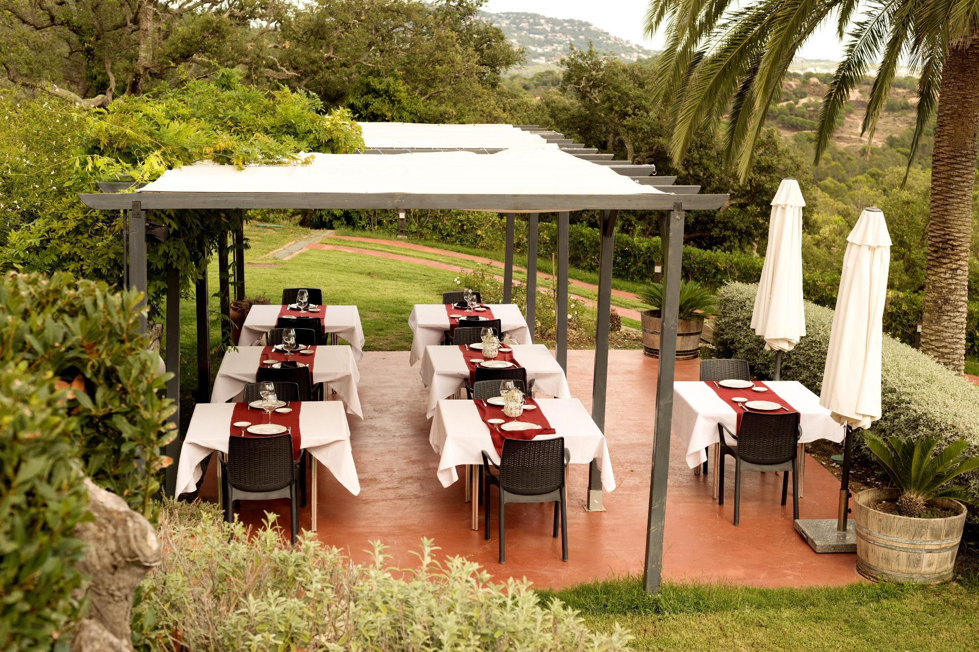 Bar/Salón Sant Pere Del Bosc