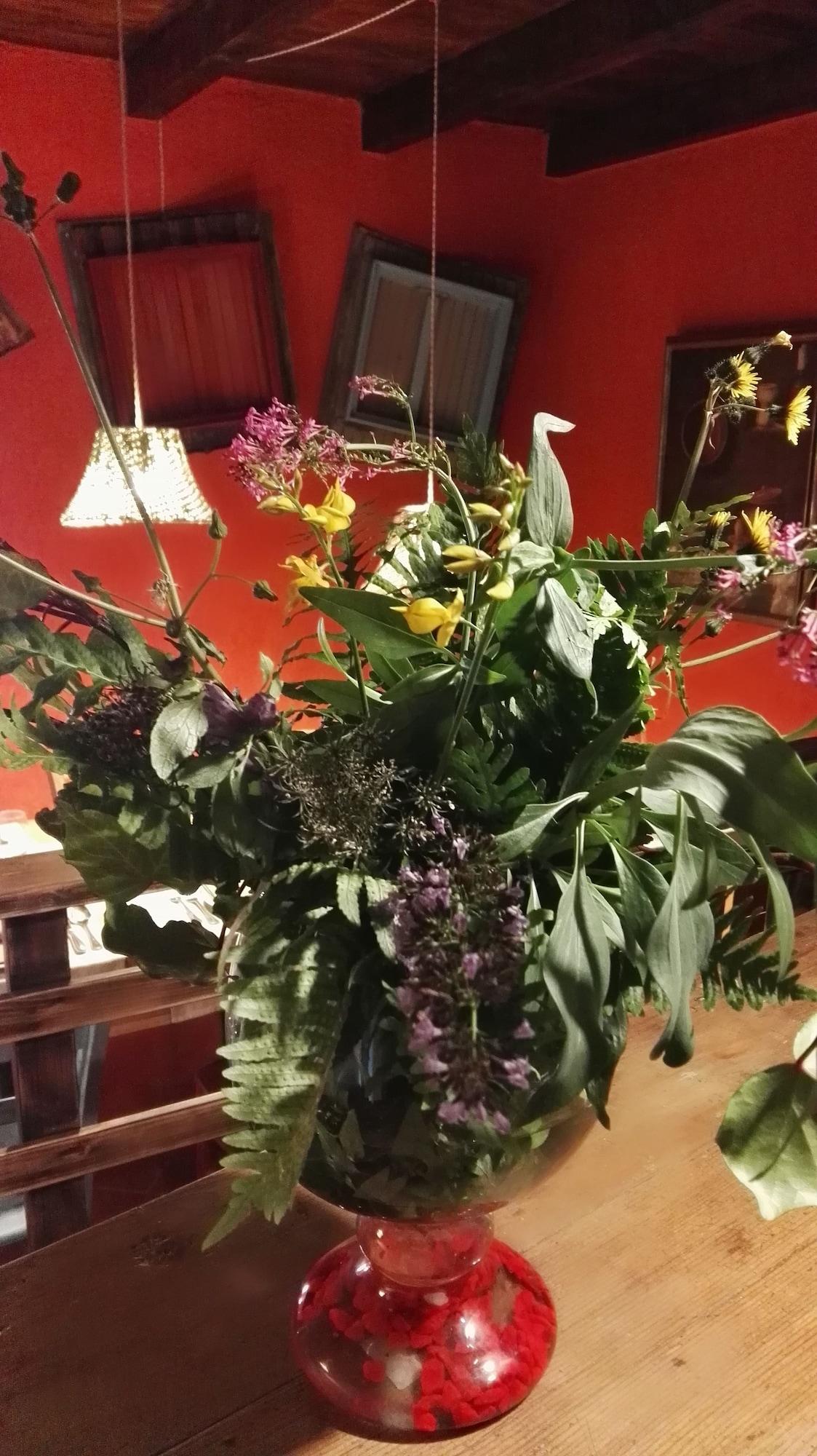 Restaurant Borgo di Codeglia