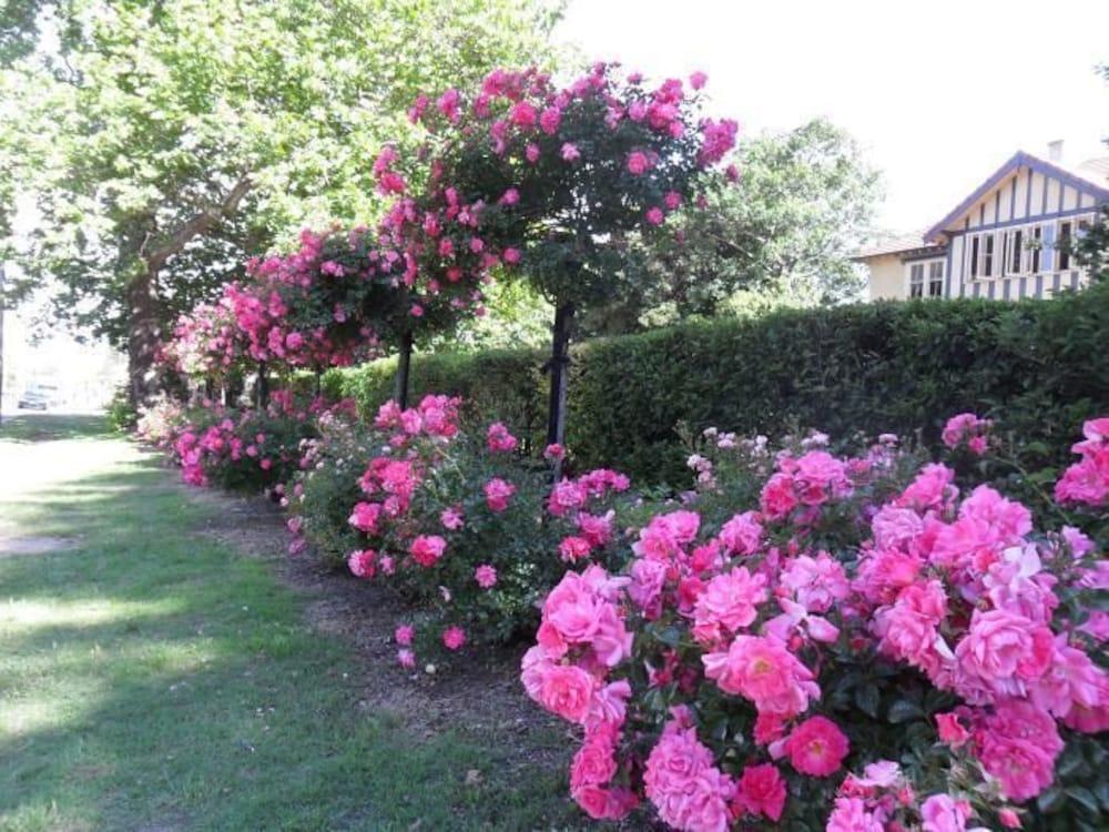 Varios Lindsay House Country Hotel