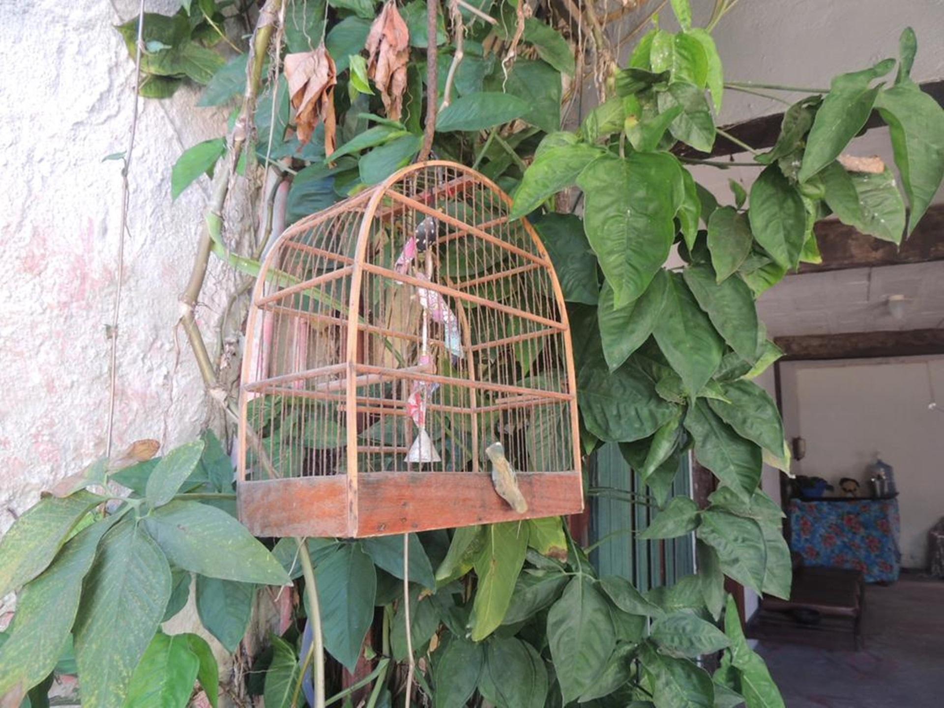 Varios Villa Mellancia