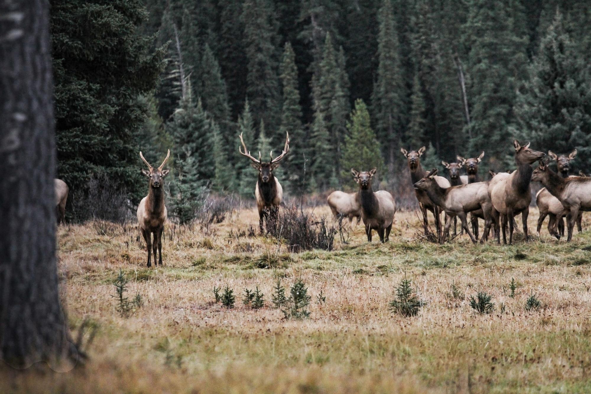 Vista Exterior Rock Lake Lodge